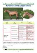 GRANTSTOWN MOONSHINE