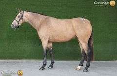 MY LION MADEMOISELLE