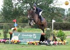 SPRINGROVE SATISFACTION