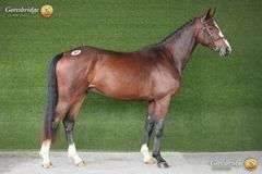 TULLIBARDS IRISH RUMOR