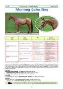 MONBEG ECHO BAY
