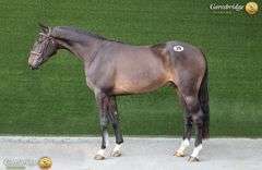 LONGFORD PASS EL QUALITY