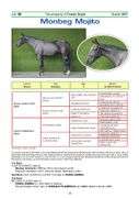 MONBEG MOJITO