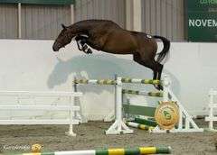 HALLSMILL ROCKSTAR MBF