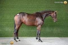 RATHNAGEERA MBF RUBON