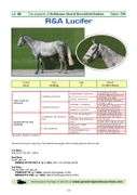 R&A LUCIFER