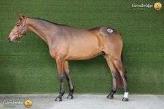 GRANTSTOWN MOONSHINE