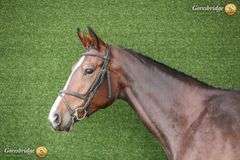 TULLIBARDS IRISH RUMOR