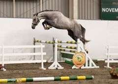 CRAANTOWER DIAMANT BLUE