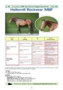 HALLSMILL ROCKSTAR MBF