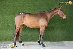 GRANTSTOWN MOONSHINE