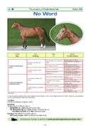 NO WORD