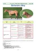 SIRLANDRO BOY
