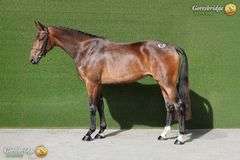 CREEVYQUIN FORTHARGOS