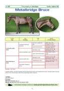 METALBRIDGE BRUCE