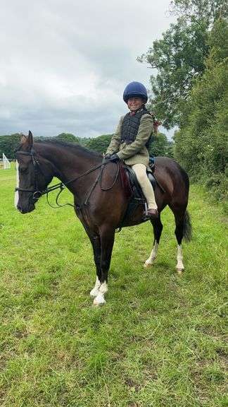 NEUADDPARC PROUD MARY