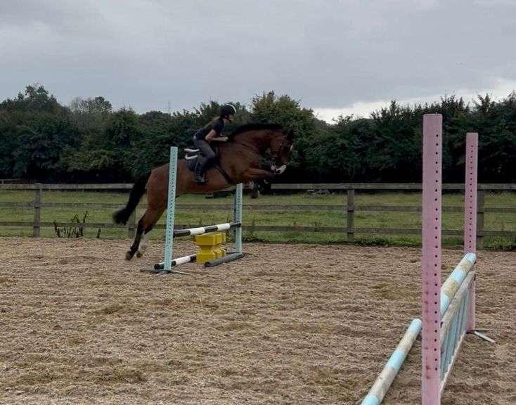 DUKE OF BALLYGARRETT