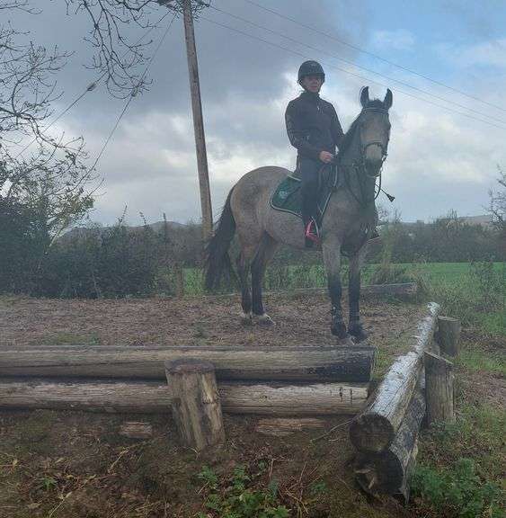 BELLSCROSS LADY MUNCH