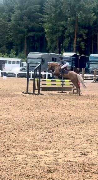 MAYBROCK DOLLY MIXTURE