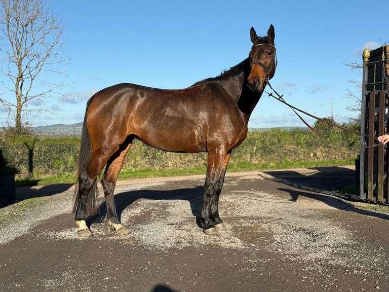 GRANTSTOWN LUCKY LUCK