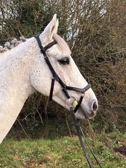 BLESSINGTON POLITICAL FLYER