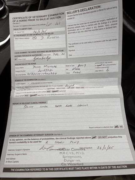 MAYBROCK DOLLY MIXTURE