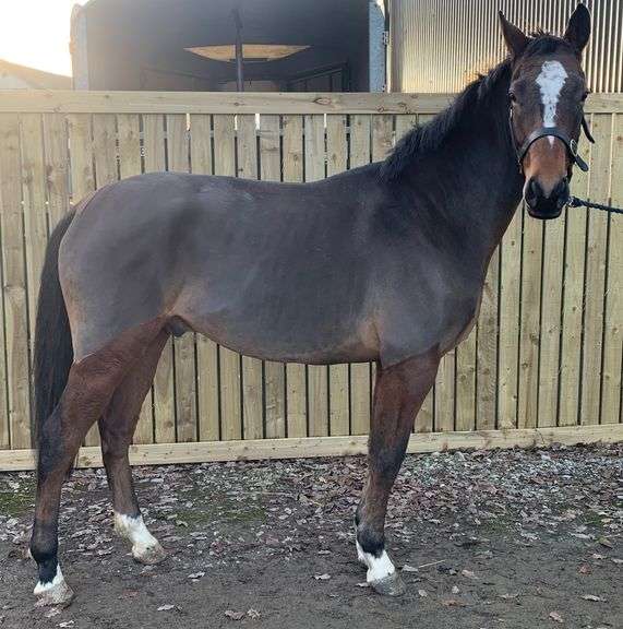 RAHEENAGURREN WHITE REWARD