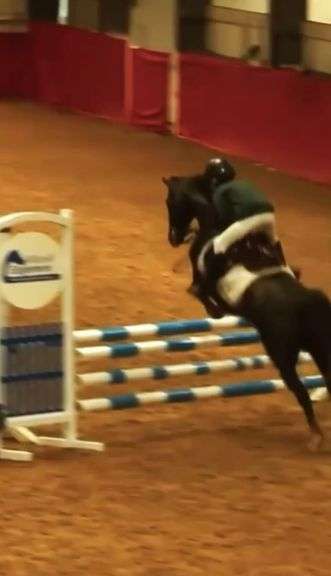 CLAWDOCK IMPERIAL FASHION