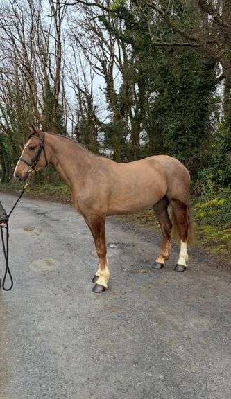 GROWHOWDY LEGACY HUGH