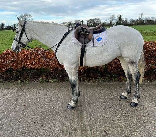 MY QUEEN OF DIAMONDS