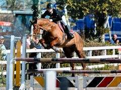 IRONHILL SHOOTING STAR