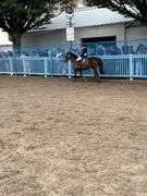 GIGMAN TSAR ALEXANDER