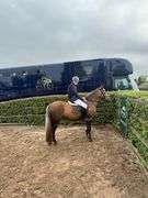 SPARKLING IRISH WHISKEY