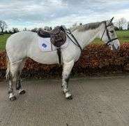 MY QUEEN OF DIAMONDS