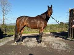 GRANTSTOWN LUCKY LUCK