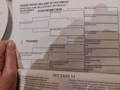 BELLSCROSS LADY MUNCH