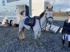 URLANMORE ANTIGRAVITY