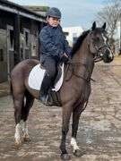 GIGMAN TSAR ALEXANDER