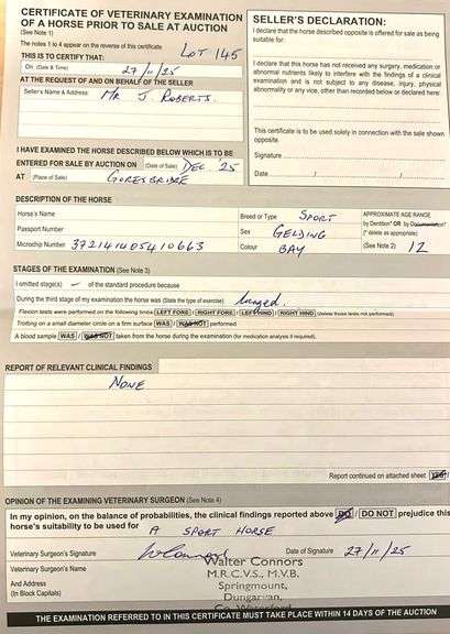 LIMESTONE HARLEY TIME