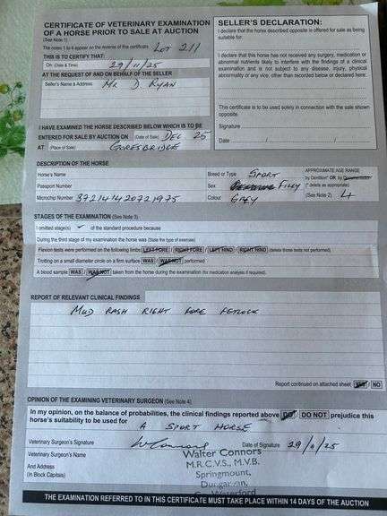 BALLYVOLAN OCEAN CRUISE