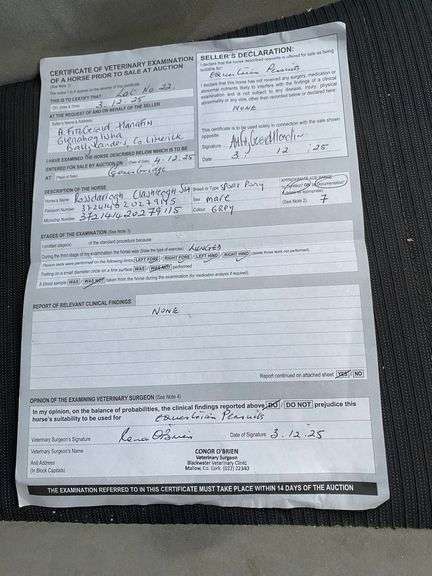 ROSSDARRGHA CLASHREAGH SIA