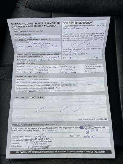 SPARKLING IRISH WHISKEY