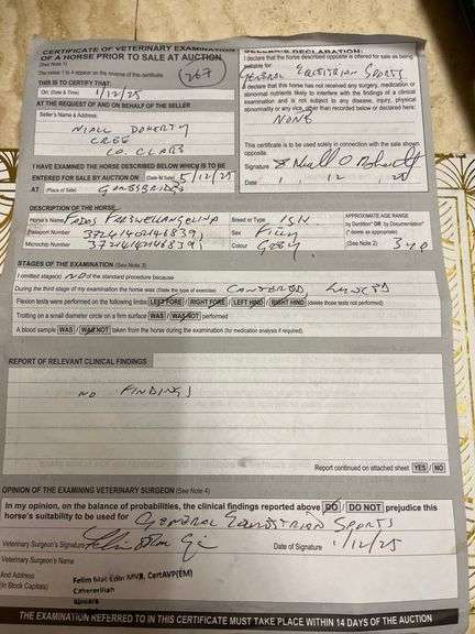 FADOS FAREWELLANGELINA