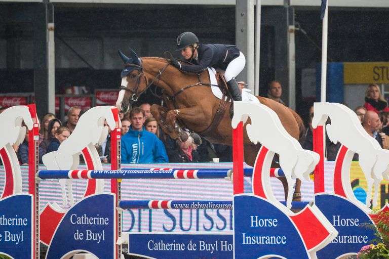 September 2nd- 10th Sport Horse Sale (Day 2)