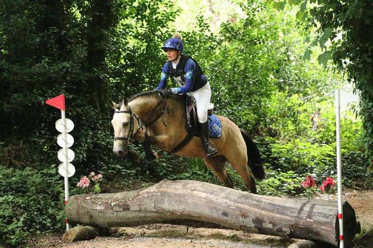 September 2nd- 10th Sport Horse Sale (Day 1)