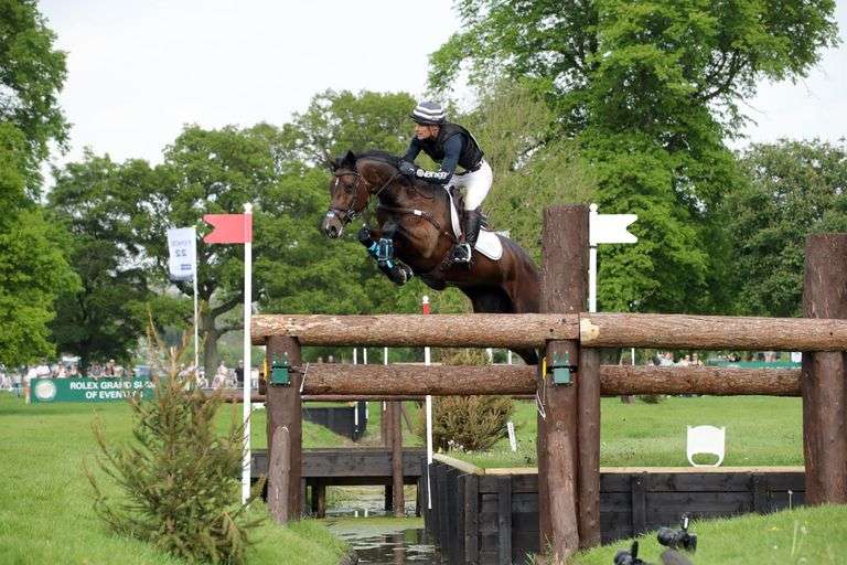 September 2nd- 10th Sport Horse Sale (Day 7)