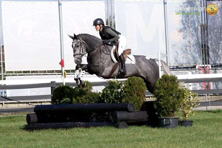 March 4th, 5th & 6th Sport Horse Performance Sale (Day 2)