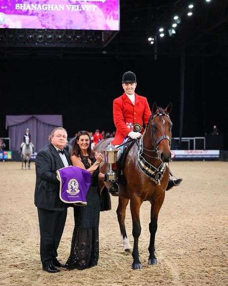 March 4th, 5th & 6th Sport Horse Performance Sale (Day 1)