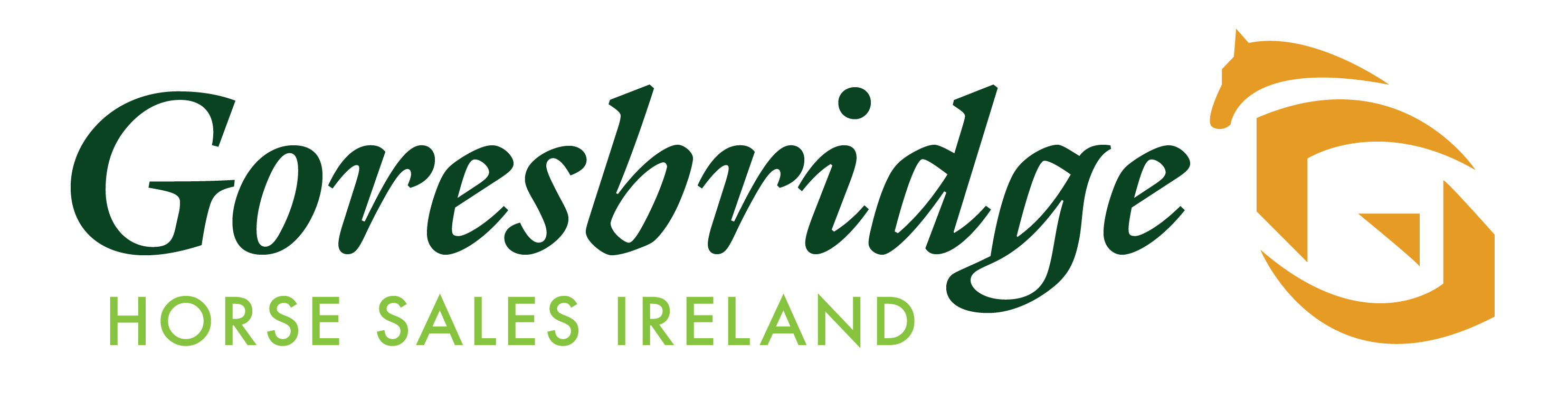 Website Logo
