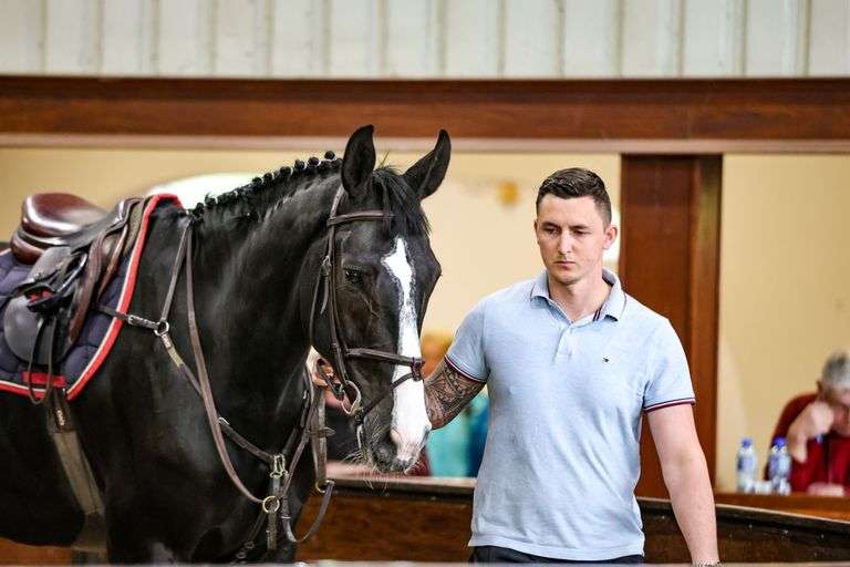 May Sport Horse Performance Sale (Day 3)